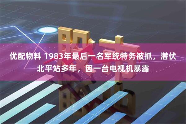 优配物料 1983年最后一名军统特务被抓，潜伏北平站多年，因一台电视机暴露